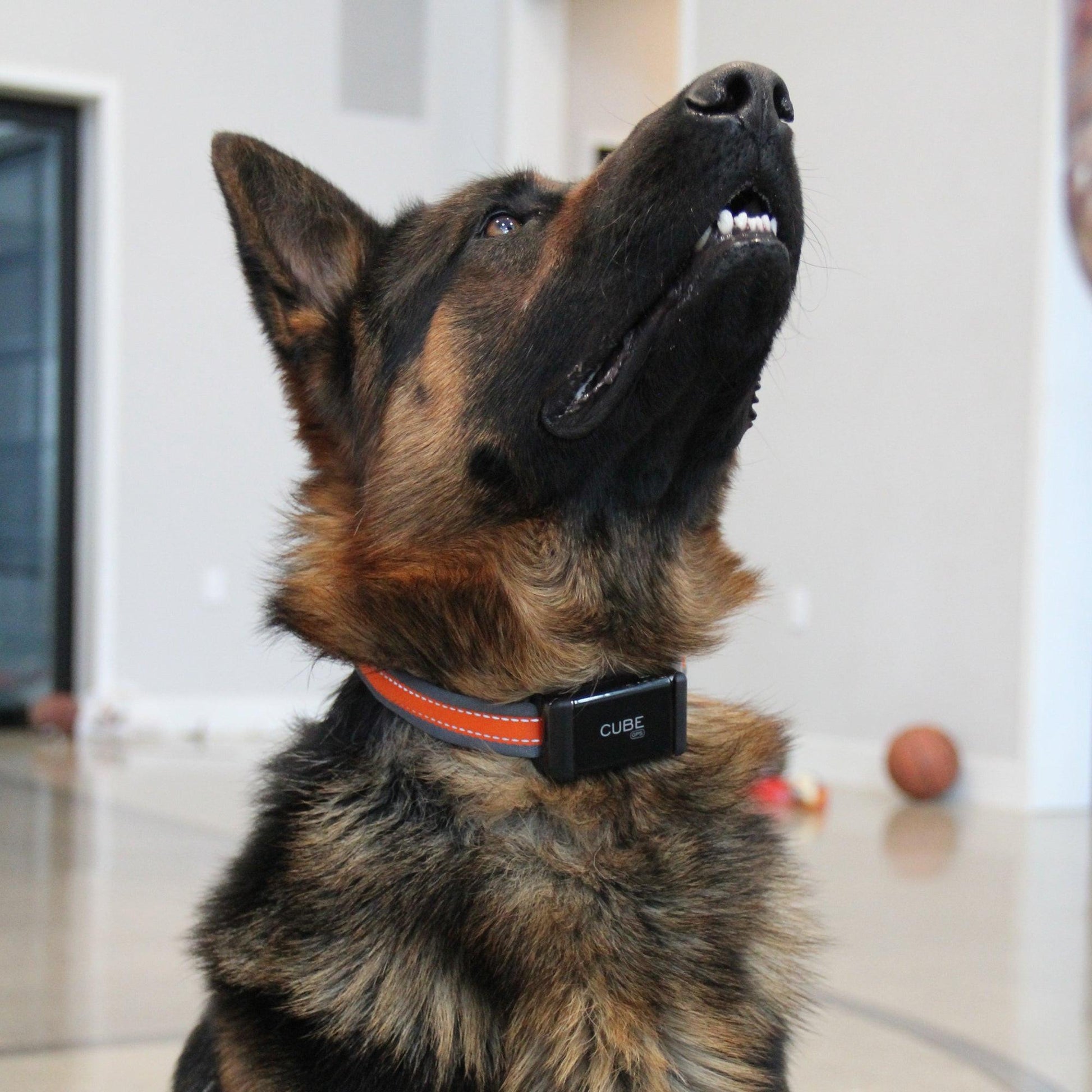 Cube Tracker collar attachment clips, accessories for pet tracking devices, shown in a close-up image.