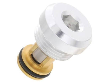 3.0T Oil Check Valve Set (Timing Chain Tensioner)