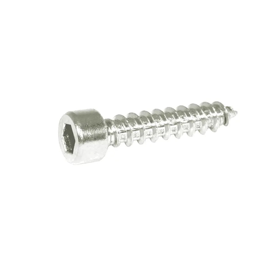 Set of 10 stainless steel M5x25mm coarse socket-head socket cap fasteners by ZSPEC Design, showing threaded heads and smooth shanks.