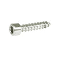 Set of 10 stainless steel ZSPEC M6x30mm coarse socket-cap SHSC fasteners, durable and suitable for various assembly applications.