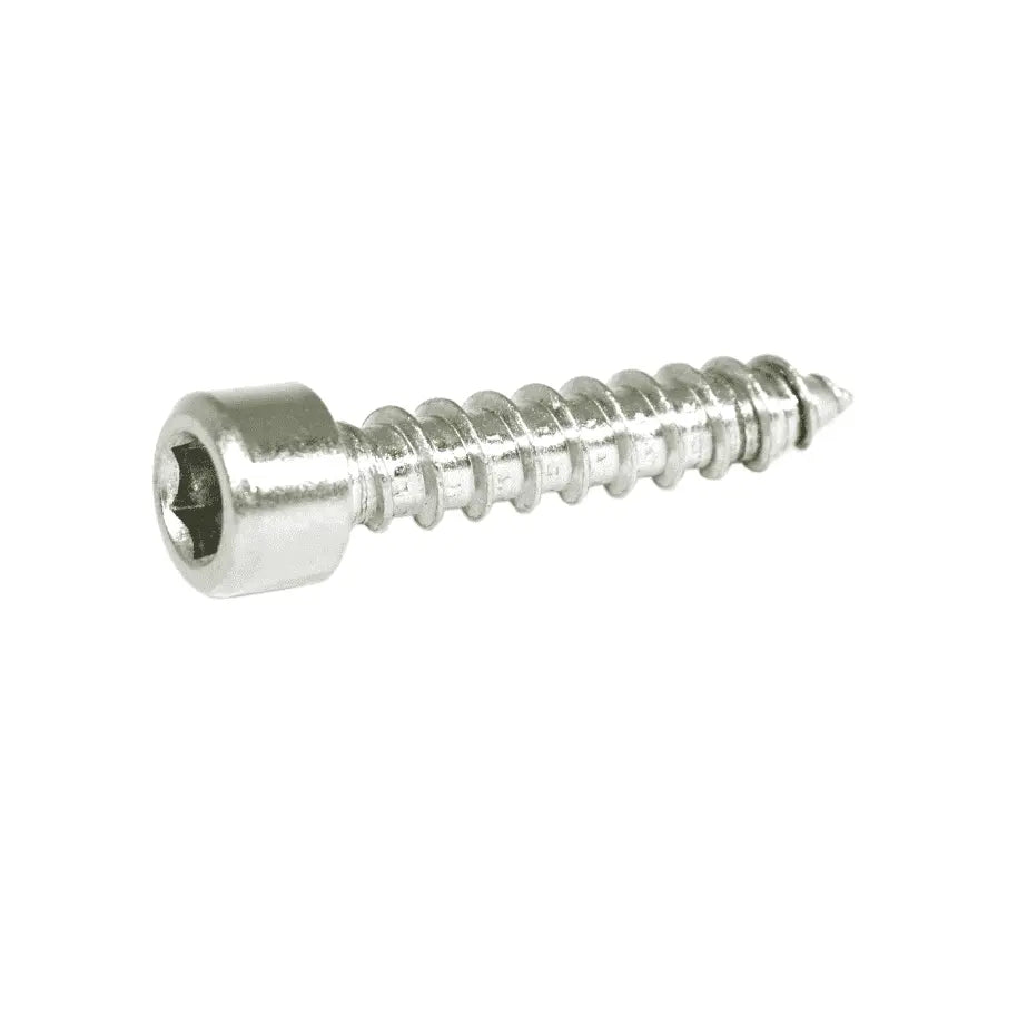 Set of 10 stainless steel ZSPEC M6x30mm coarse socket-cap SHSC fasteners, durable and suitable for various assembly applications.
